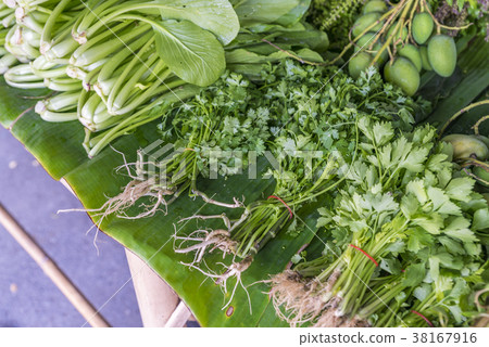 Organic coriander and others vegetables Organic coriander and others vegetables 38167916