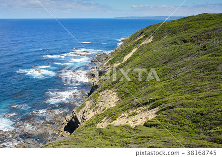 Cape Otway National Park, Australia Cape Otway National Park, Australia 38168745