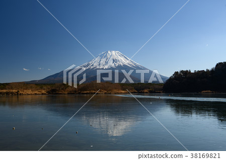 富士山和昭和湖（山梨縣）的冬天 38169821