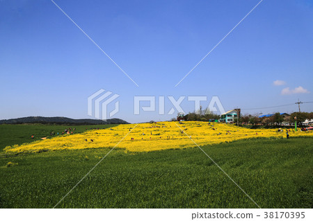 Gochang Fluid Field 38170395