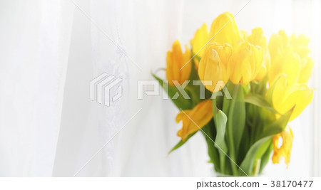 A bouquet of red tulips in a vase on the 38170477