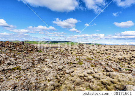 Lava field covered with moss in summer, Iceland 38171661