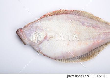 比目魚配料 38172013