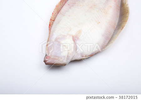 比目魚配料 38172015