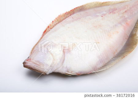 比目魚配料 38172016