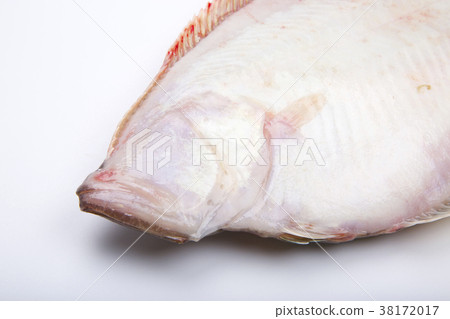 比目魚配料 比目魚配料 38172017