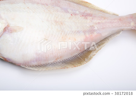 比目魚配料 比目魚配料 38172018
