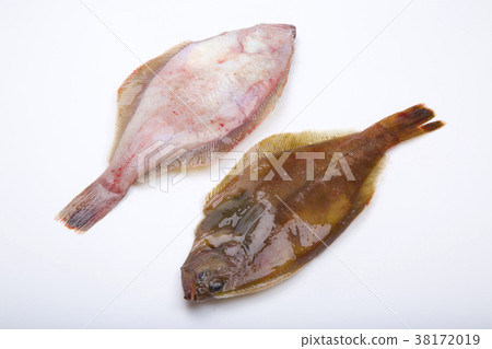 Flatfish ingredients Flatfish ingredients 38172019