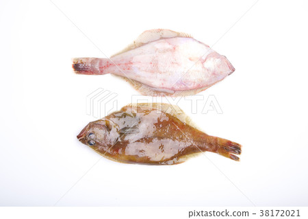 Flatfish ingredients 38172021