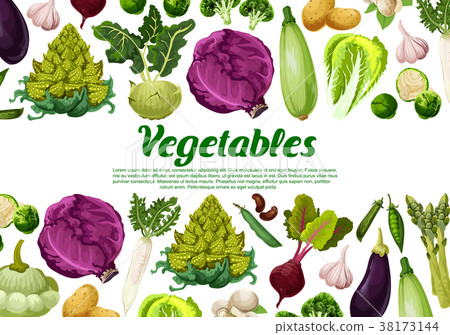 Vector vegetables and vegetarian veggie poster Vector vegetables and vegetarian veggie poster 38173144
