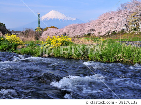 Cherry blossoms and rivers and Mt. Fuji-2092 38176132
