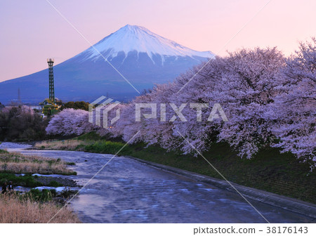 Cherry blossoms and Red Fuji 2101 Cherry blossoms and Red Fuji 2101 38176143