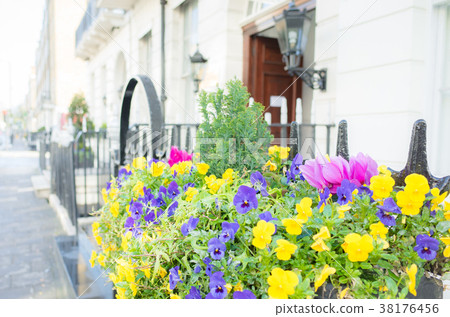 歐洲城市和鮮花 歐洲城市和鮮花 38176456