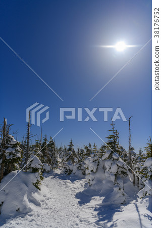 Mountain trail in the winter of Mt. Mountain trail in the winter of Mt. 38176752