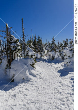 在冬天的山路徑 38176753