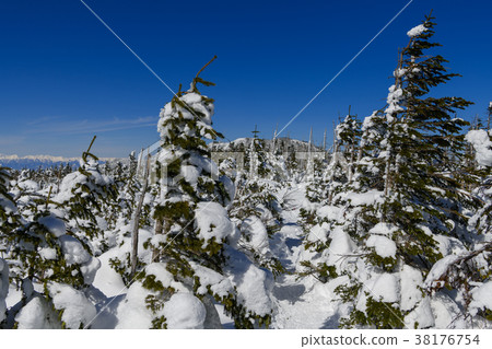 Mountain trail in the winter of Mt. Mountain trail in the winter of Mt. 38176754