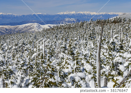 從山頂看到的北阿爾卑斯山 從山頂看到的北阿爾卑斯山 38176847