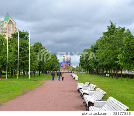 Park at summer. 38177828