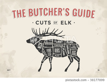 Butcher diagram, scheme - Elk 38177899