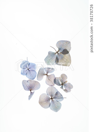 floral composition 38178726