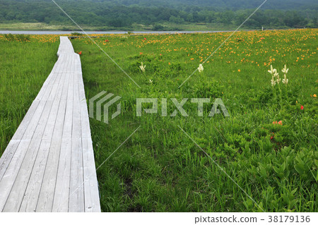 Back of Yuu Kuninuma in early summer 38179136