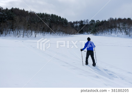 Snow Hikes 38180205