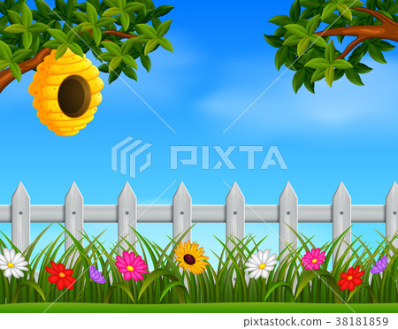 beehive in the garden 38181859