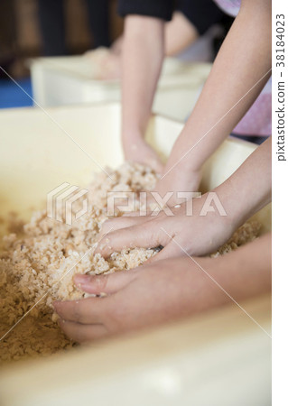 Miso making experience Work to mix Miso and Miso 38184023