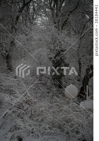 Snow scene 38184441