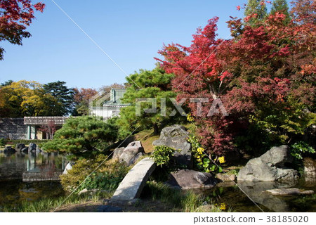 Autumn leaves of Toyama Castle Park 38185020