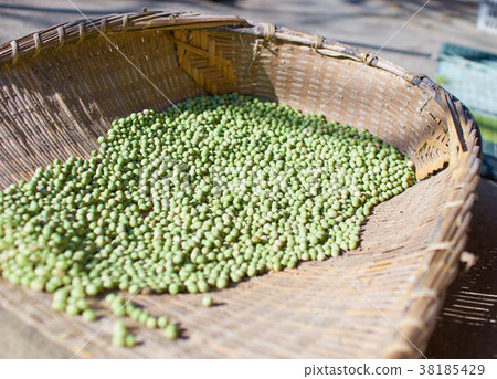 Soybean harvest 38185429