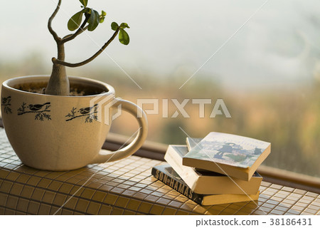 Books with a plant Books with a plant 38186431