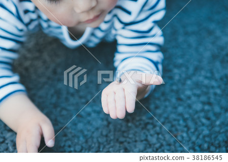 兒童 孩子 小孩 38186545