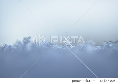 雪花 38187506