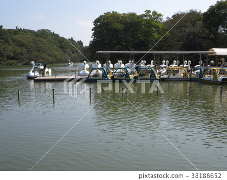 在Inokashira公園的船 在Inokashira公園的船 38188652