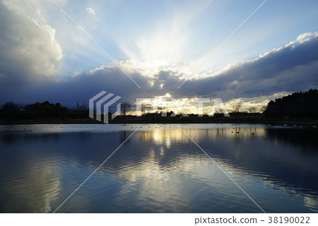 灌溉池塘晚上風景 灌溉池塘晚上風景 38190022
