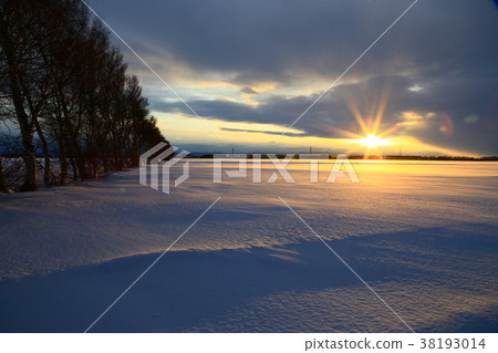 Winter morning sun Winter morning sun 38193014