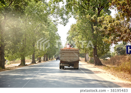 Bengalea, Cambodia 38195483