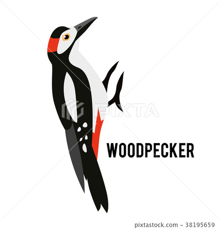 Great Spotted Woodpecker. Winter bird in a flat 38195659