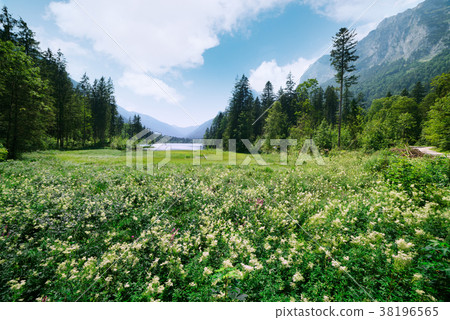 Amazing sunny summer day on the Hintersee lake 38196565