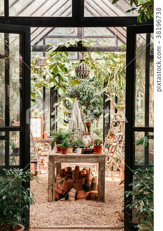 Cactus, plants pot and ornaments in greenhouse Cactus, plants pot and ornaments in greenhouse 38196738