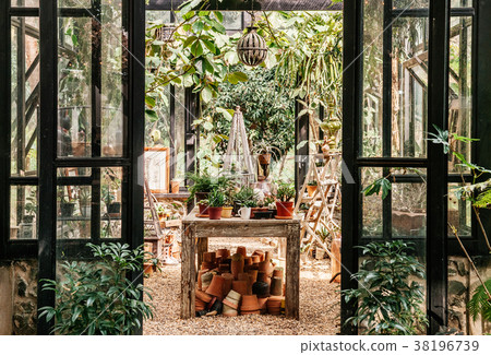 Cactus, plants pot and ornaments in greenhouse Cactus, plants pot and ornaments in greenhouse 38196739