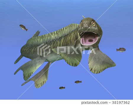 Prehistoric shark Orthacanthus Prehistoric shark Orthacanthus 38197362