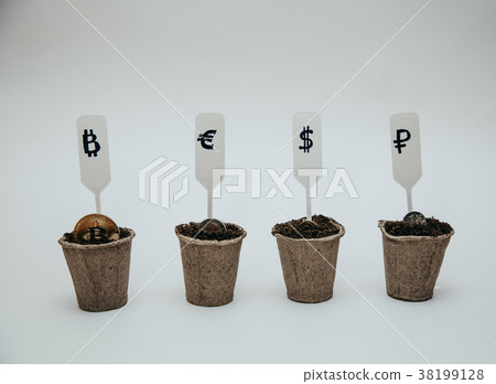 different currency in pots for seedlings 38199128