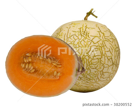 cantaloupe melon. cantaloupe melon. 38200552
