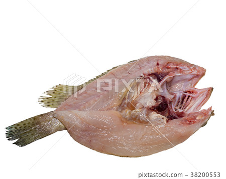 Grouper Fish cleaned scaled fresh. 38200553