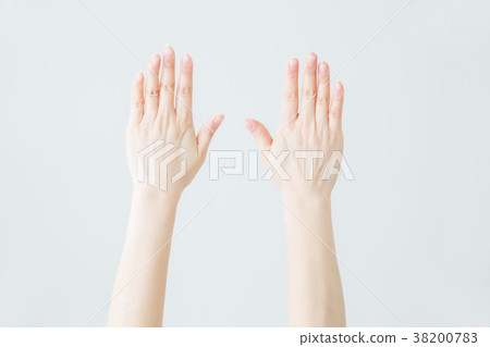 [With clipping path] The back of the hand 38200783