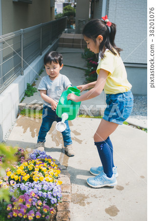 姐姐和弟弟 水生植物 花朵 38201076