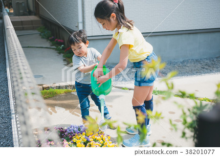 水生植物 花朵 花 38201077