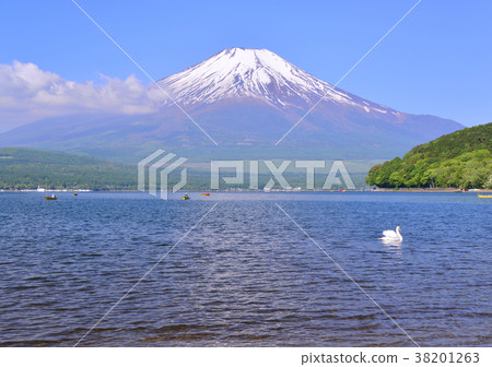 Spring scenery from the shores of Lake Yamanaka-777481 38201263